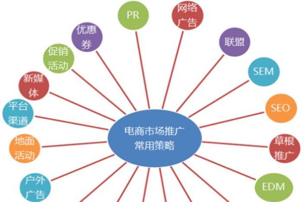 SEO新手必看：上海優(yōu)化公司的實(shí)用建議